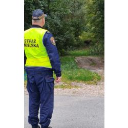 Strażnik a w tle łoś
